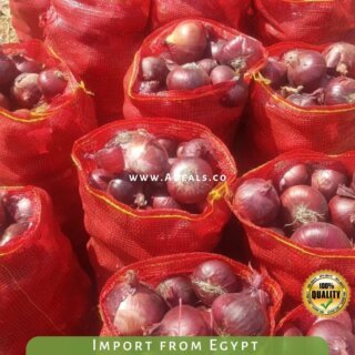 Fresh Red Onions