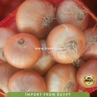 Fresh White Onions