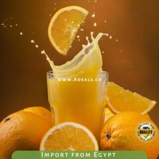Fresh Baladi Orange Industry