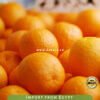 Fresh Valencia Orange