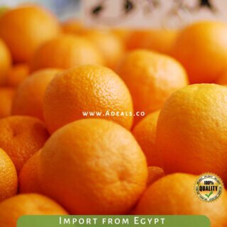 Fresh Valencia Orange