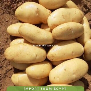 Spunta Fresh Potatoes