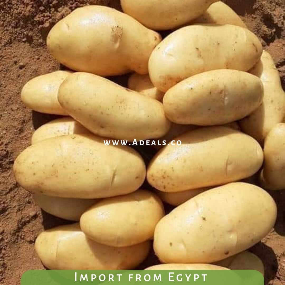 Spunta Fresh Potatoes