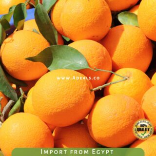 Fresh Navel Orange